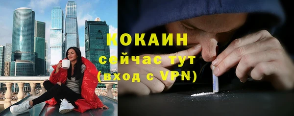 гидра Горняк