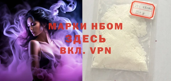 гидра Горнозаводск