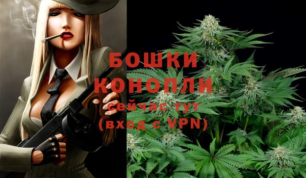 гидра Горнозаводск