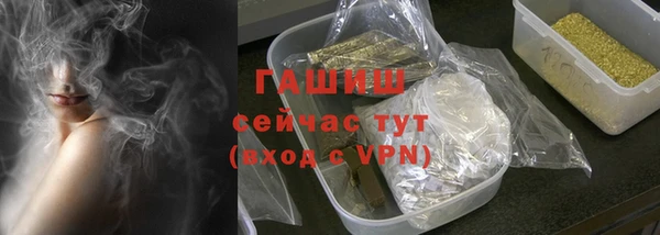 гидра Горняк