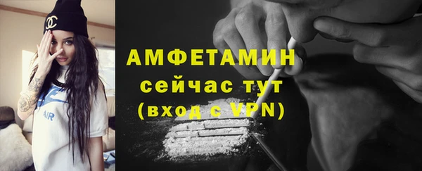 гидра Горняк