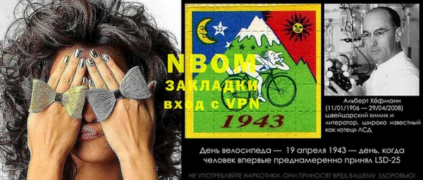 гидра Горнозаводск