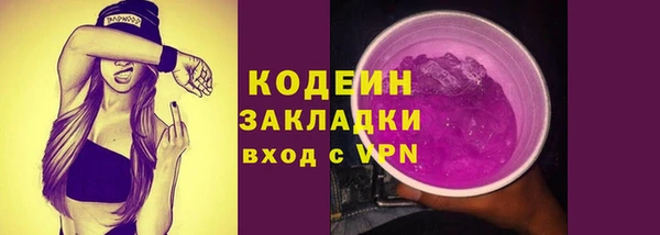 гидра Горняк