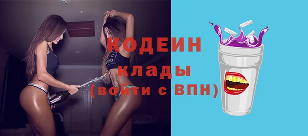 гидра Горнозаводск