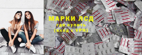 гидра Горнозаводск