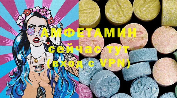 гидра Горняк
