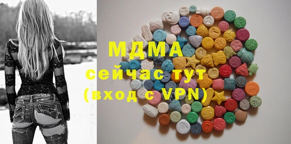 гидра Горняк