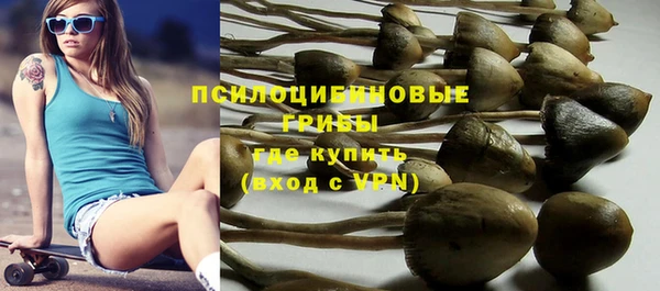 гидра Горнозаводск