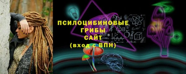 гидра Горняк