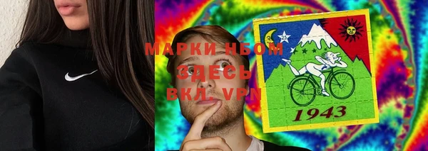 гидра Горняк