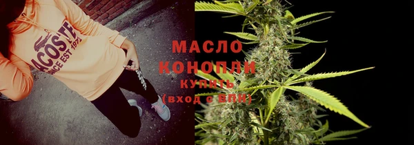 гидра Горняк