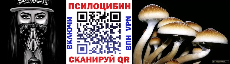mega как зайти  Новоржев  Галлюциногенные грибы GOLDEN TEACHER  что такое наркотик 